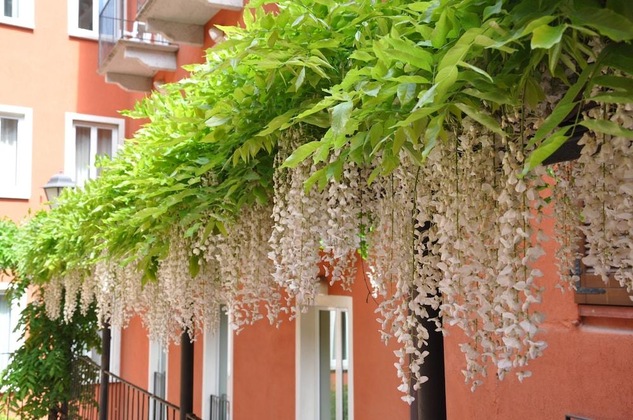Gallery - Cavour 30Tre - Hotel Moderno