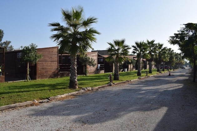 Gallery - Bungalows Park Albufera