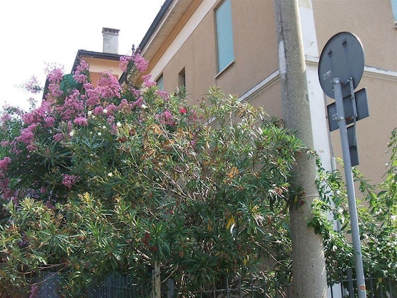 Gallery - B&B Accorsi