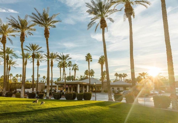 Gallery - Marriott's Desert Springs Villas I