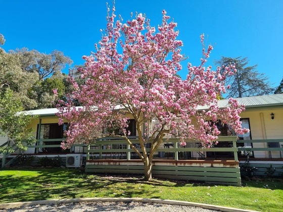 Gallery - Golden Heritage Apartments Beechworth