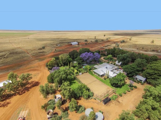 Gallery - Corynnia Station