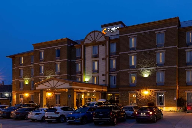 Gallery - Comfort Hotel Bayer's Lake