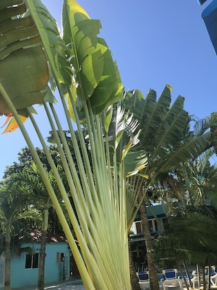 Gallery - NEW GARDEN LUNA SIDE APART HOTEL