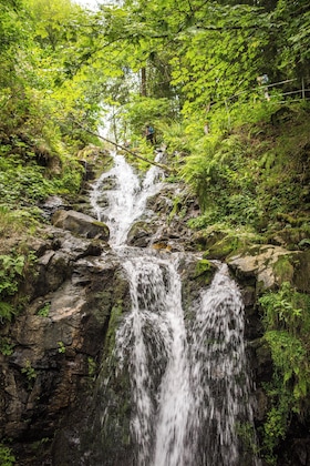 Gallery - Waldhotel Am Notschreipass