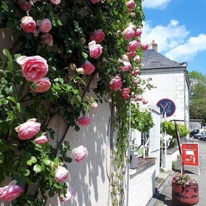 Gallery - Hôtel Restaurant Relais De La Mothe