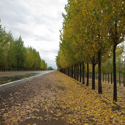 Gallery - Casa De Uco Vineyards And Wine Resort