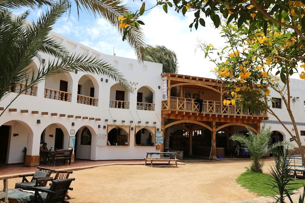 Gallery - Dahab Divers