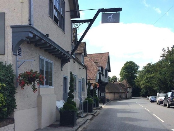 Gallery - The Dog At Wingham