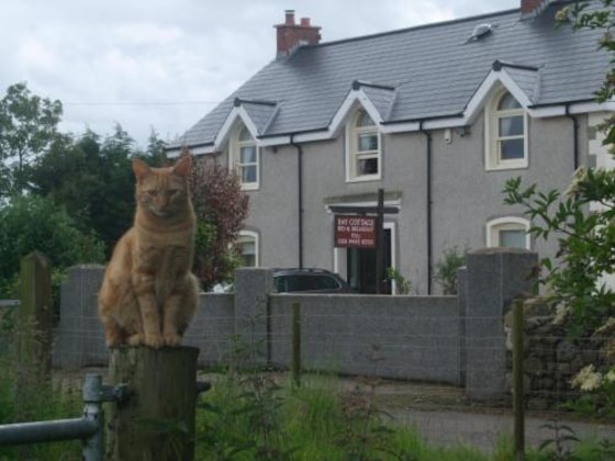 Gallery - Bay Cottage B&B