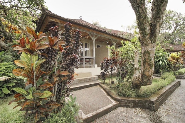 Gallery - Taman Indrakila