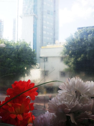 Gallery - Momo's - Hostel