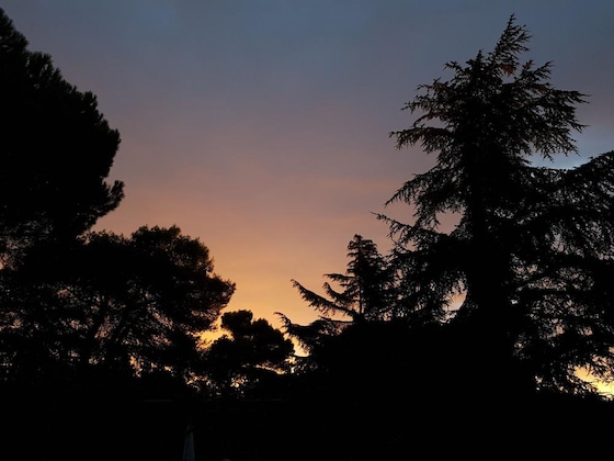 Gallery - Parco Della Vigna