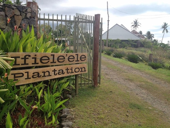 Gallery - Ifiele'ele Plantation