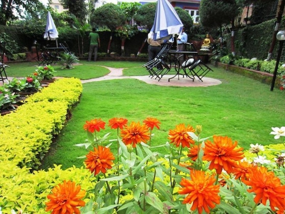 Gallery - Hotel Buddha