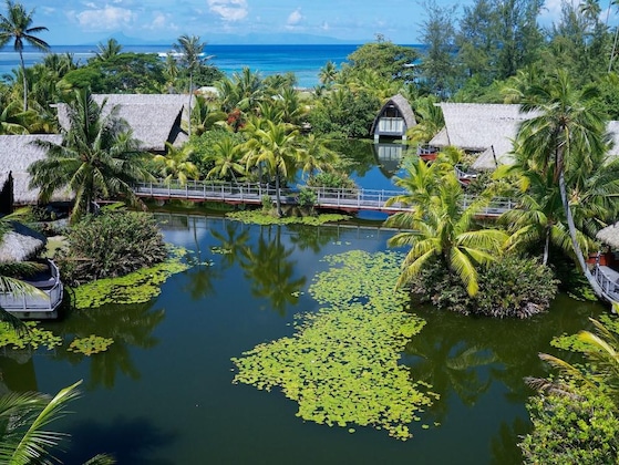 Gallery - Maitai Lapita Village Huahine