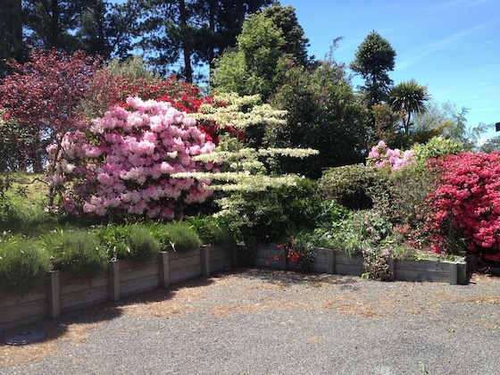 Gallery - Kauri Point Luxury Bed & Breakfast