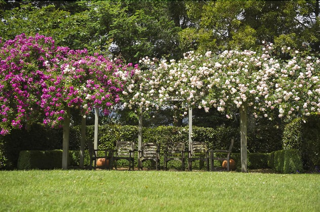 Gallery - Doolan's Country Retreat - Adults Only