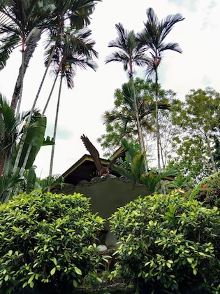 Gallery - Sepilok Jungle Resort