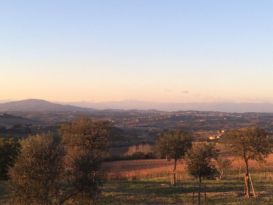 Gallery - Tenuta Il Corno