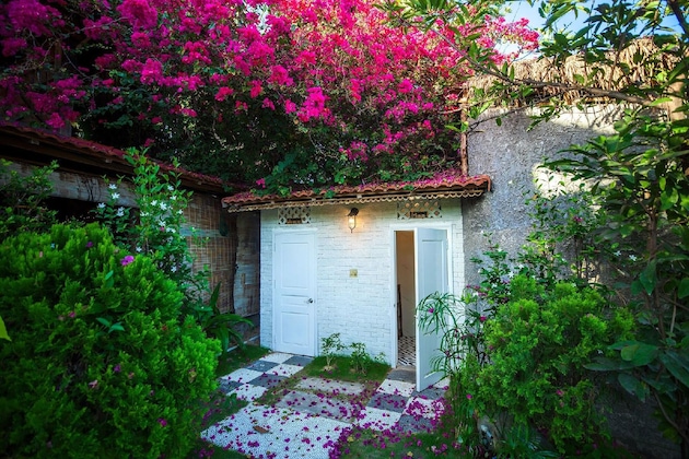 Gallery - Green Organic Villas