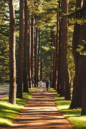 Gallery - Gideon Putnam Resort And Spa