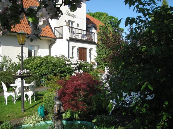 Gallery - Nya Pallas Hotel