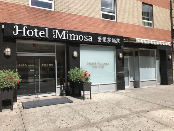 Gallery - Hotel Mimosa