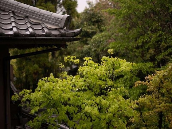 Gallery - Yufuin Onsen Hinoharu Ryokan