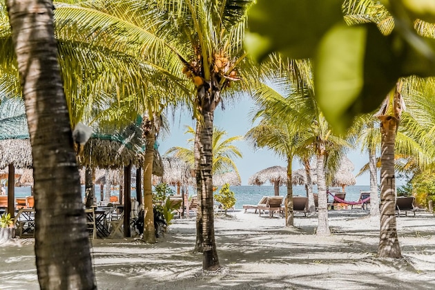 Gallery - Zomay Beachfront Hotel Holbox
