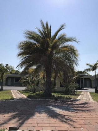 Gallery - Apollo Inn Motel