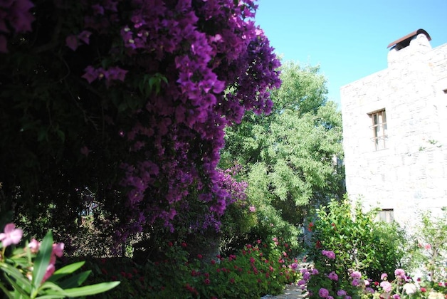Gallery - Eski Datca Evleri