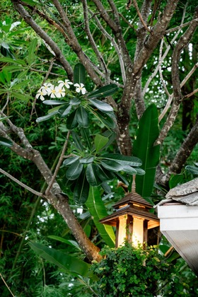 Gallery - Tolani Southgate Villa Chiang Mai