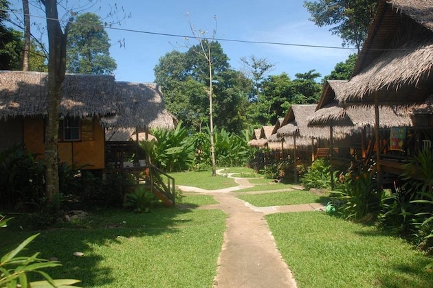 Gallery - Jungle Garden