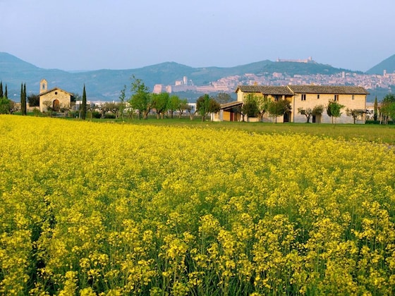 Gallery - Valle di Assisi Country Apartments