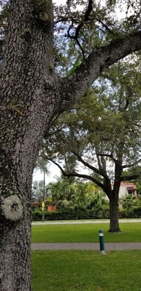 Gallery - Parkway Inn Airport Motel Miami