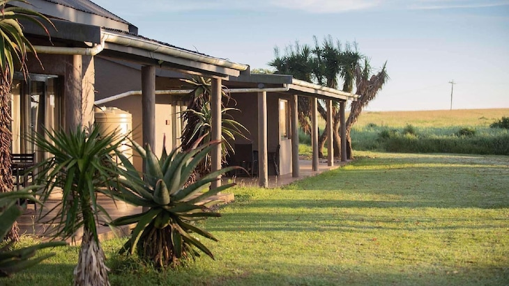 Gallery - Tala Collection Game Reserve By Dream Resort
