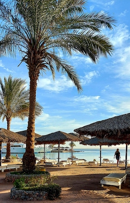 Gallery - Regina Resort & Aquapark
