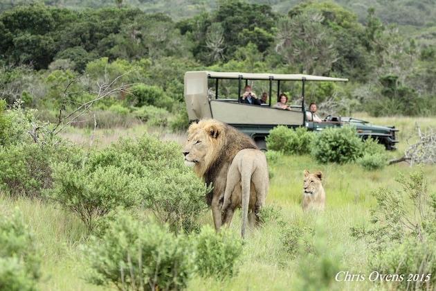 Gallery - Sibuya Game Reserve
