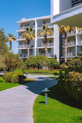 Gallery - Barut Goia