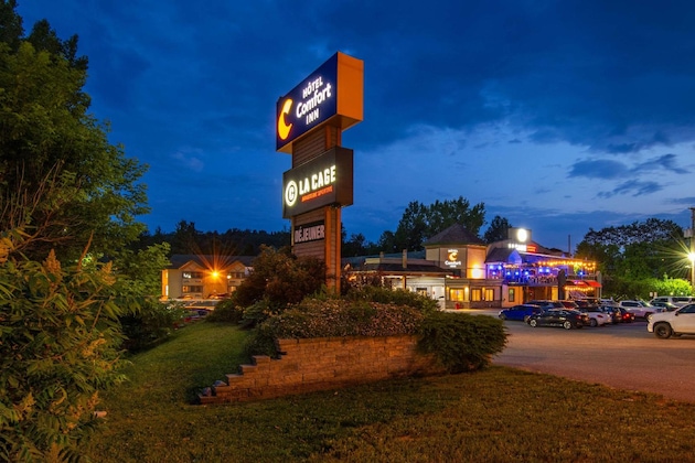 Gallery - Comfort Inn