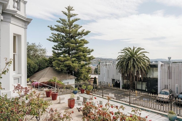 Gallery - Areca Launceston