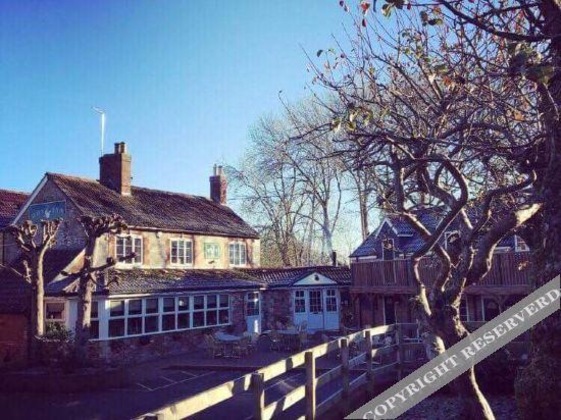 Gallery - The Dove Inn