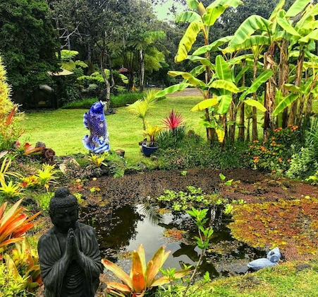 Gallery - Volcano Artist Cottage
