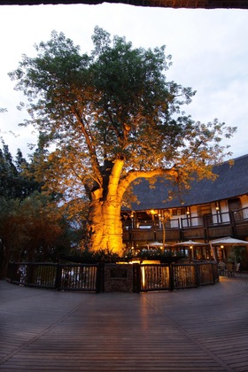 Gallery - Cresta Mowana Safari Resort & Spa