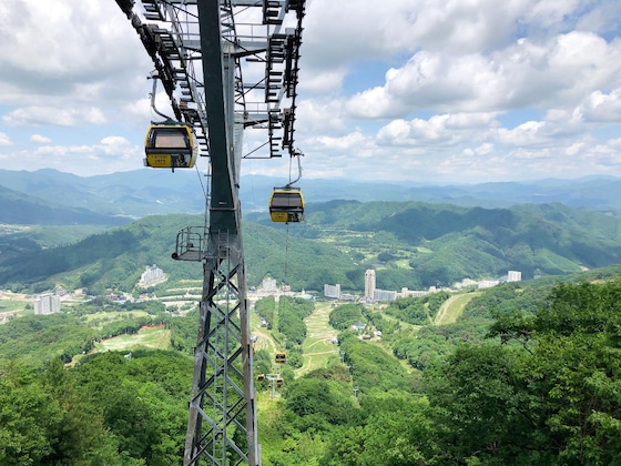 Gallery - Phoenix Resort Pyeongchang