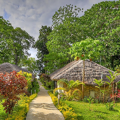 Gallery - Coco Beach Resort