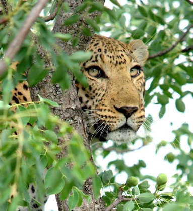 Gallery - Kuname Lodge