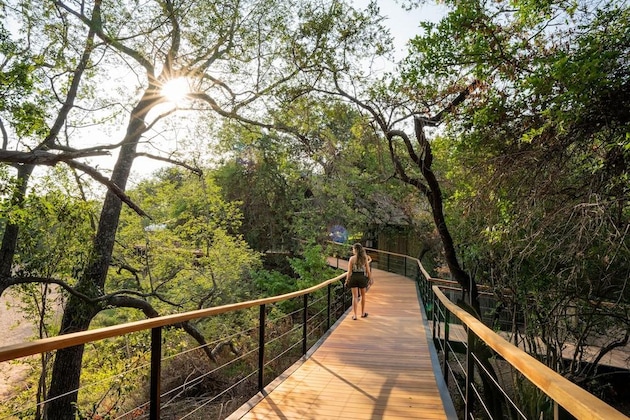 Gallery - Thornybush Game Lodge