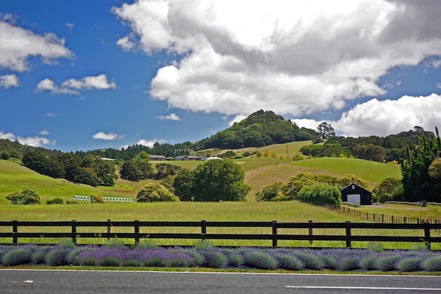 Gallery - Sugarloaf Lodge